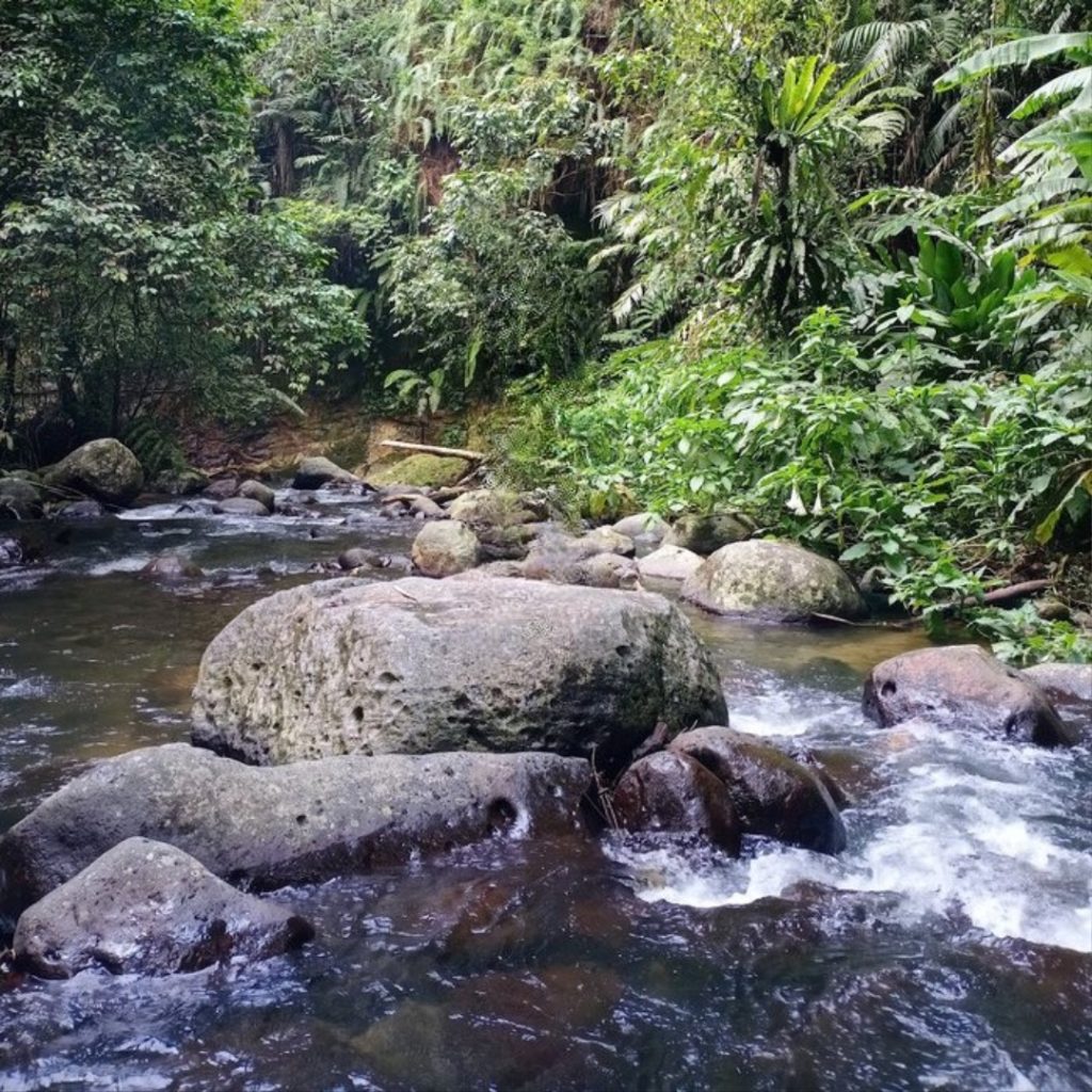 sungai