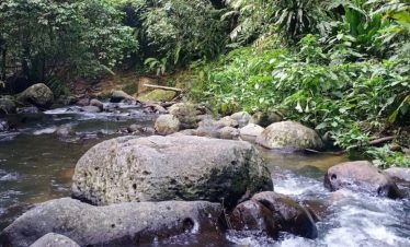 sungai