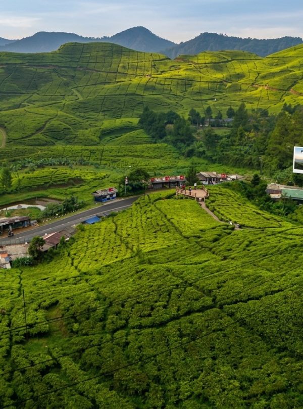 Puncak1