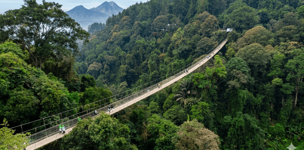 5-Day West Java Highlights: Jakarta, Bogor & Bandung