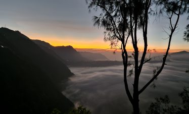 bromo ss