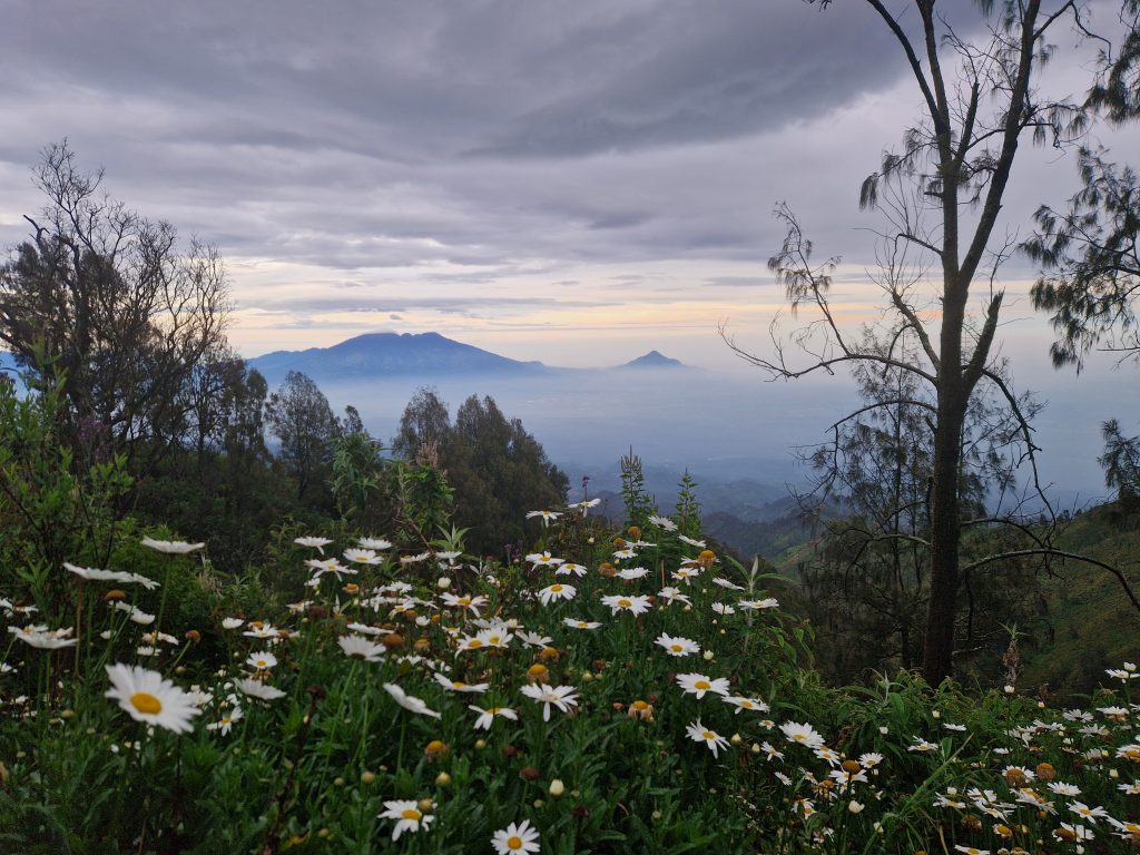 Bromo2