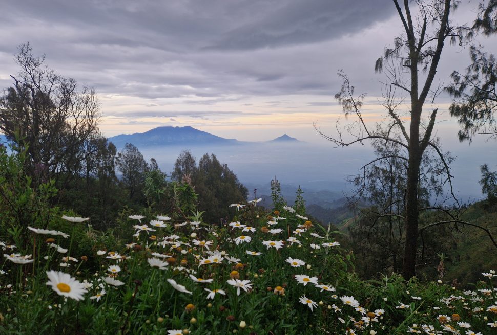 Bromo2